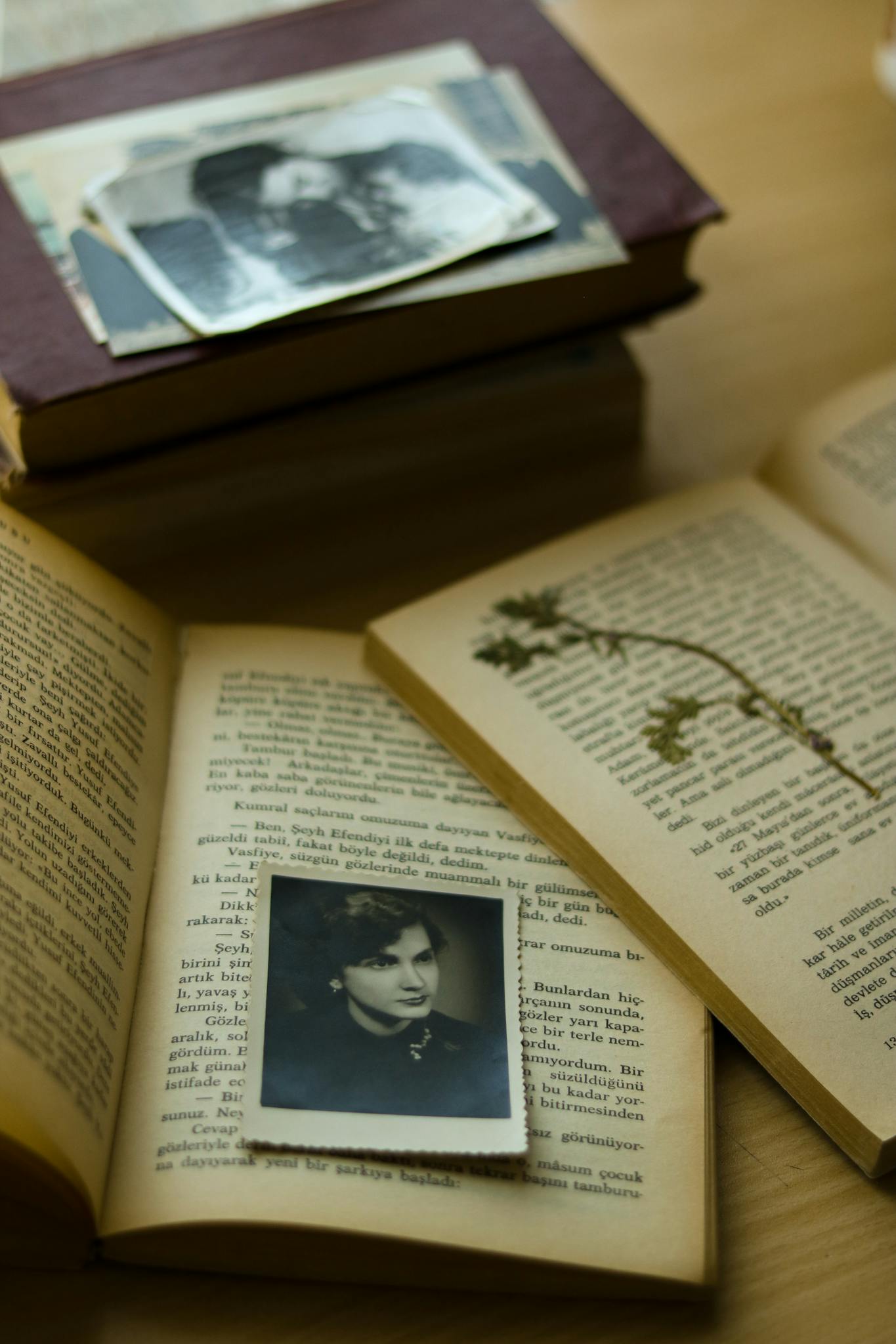 Open books with vintage photographs and dried flowers depicting nostalgic memories.